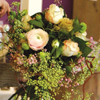 Blumenabo Bild 1