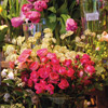 Blumenabo Bild 3