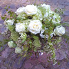 Blumenabo Bild 8