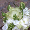 Blumenabo Bild 4