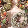 Workshop Bild 2